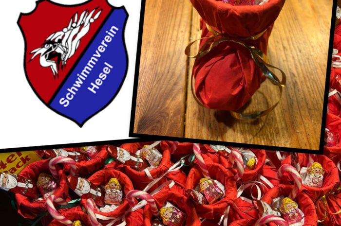 Ab 08.12.2025 Wartungsarbeiten im Heseler Schwimmbad!